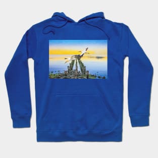 Northern Gannets in Flight Hoodie